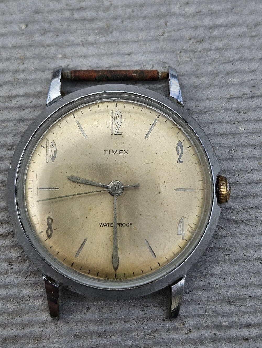 Vintage Timex Marlin Men's Watch Manual Wind Champagne Dial Waterproof 1960s
